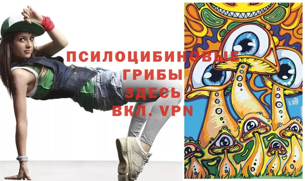 спайс Алзамай